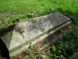 image of grave number 340001